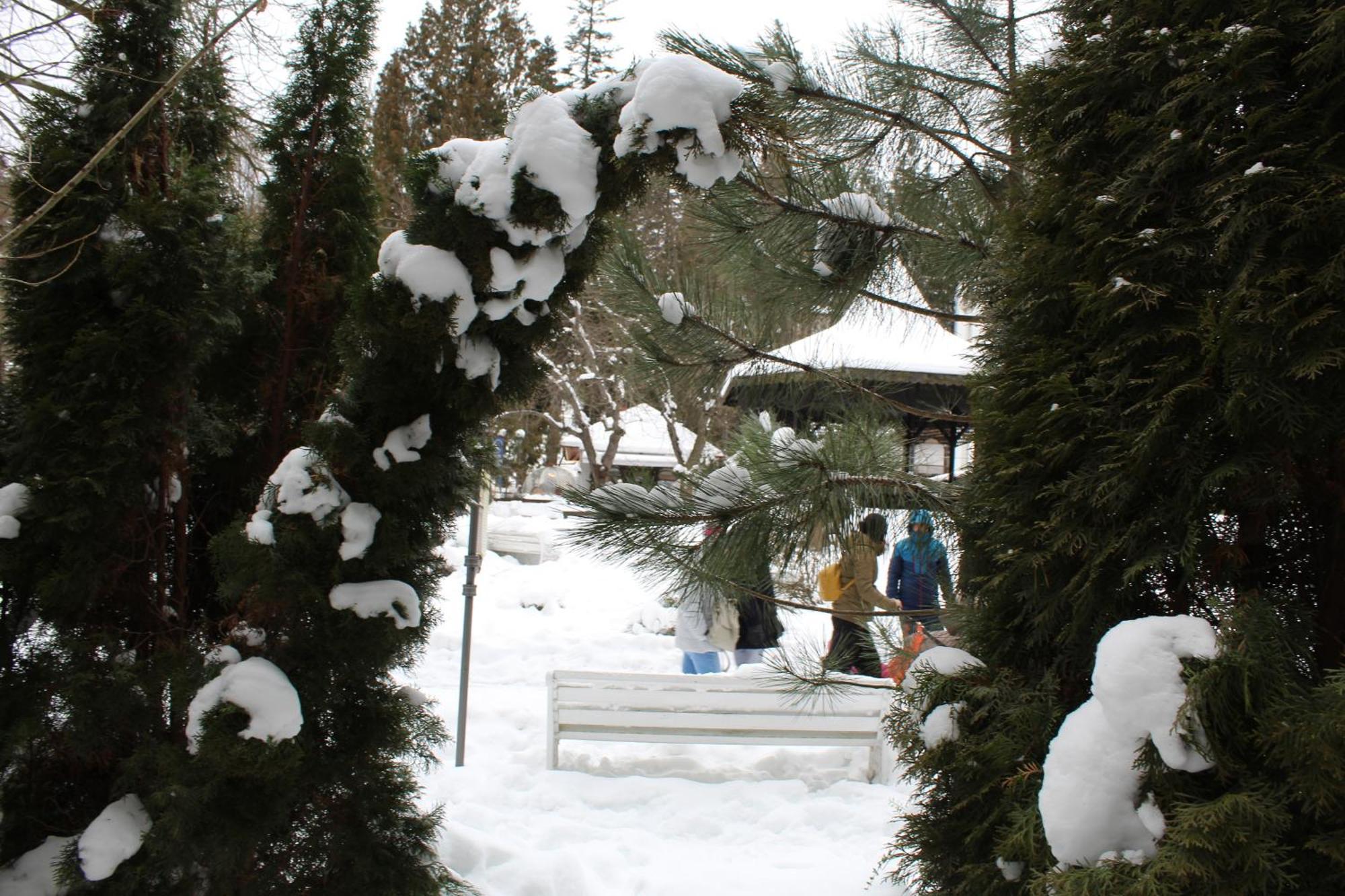 Central Park View Sinaia Kültér fotó