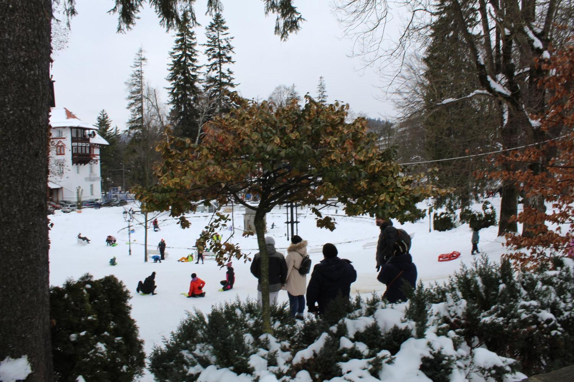 Central Park View Sinaia Kültér fotó