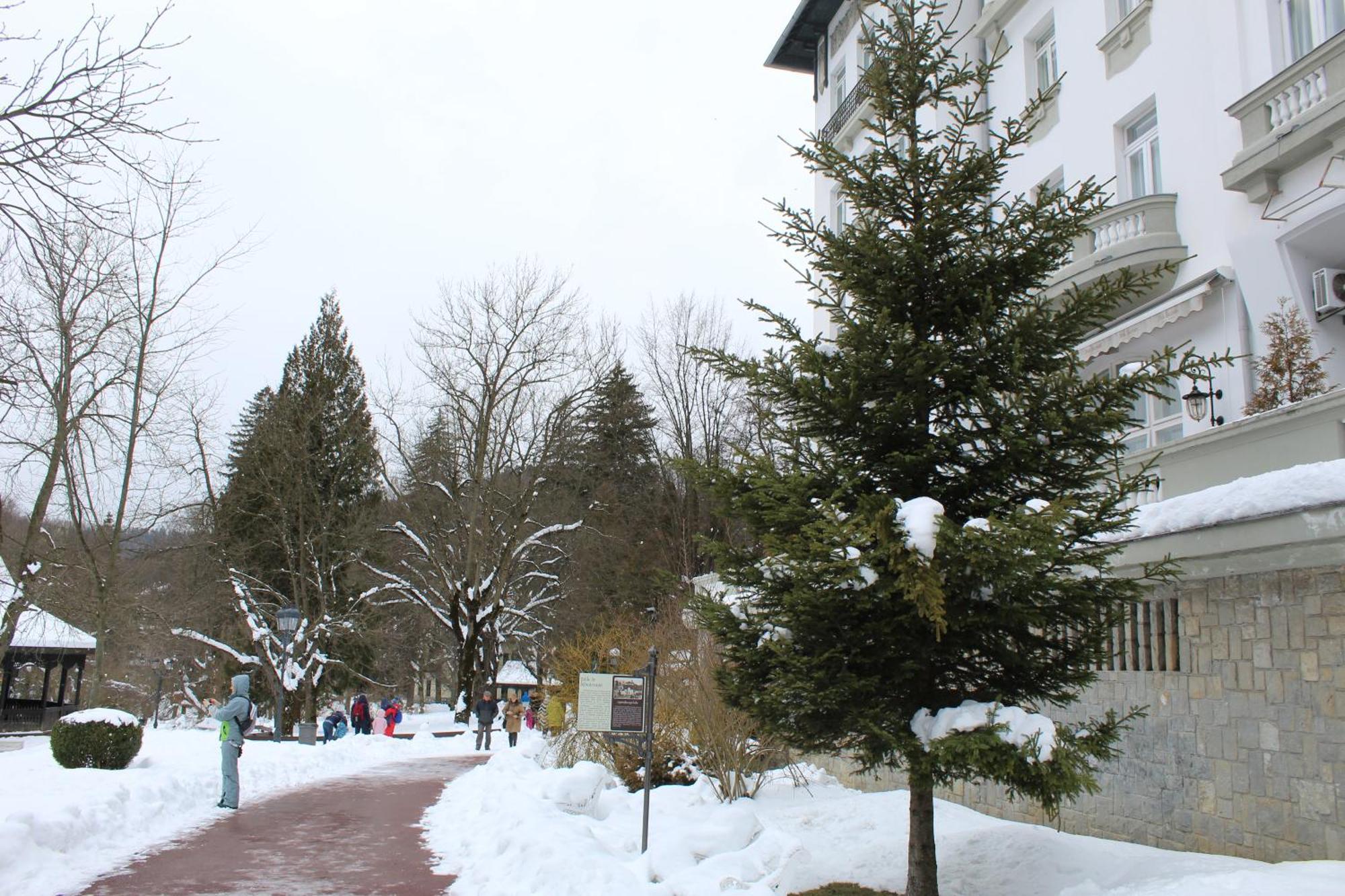Central Park View Sinaia Kültér fotó