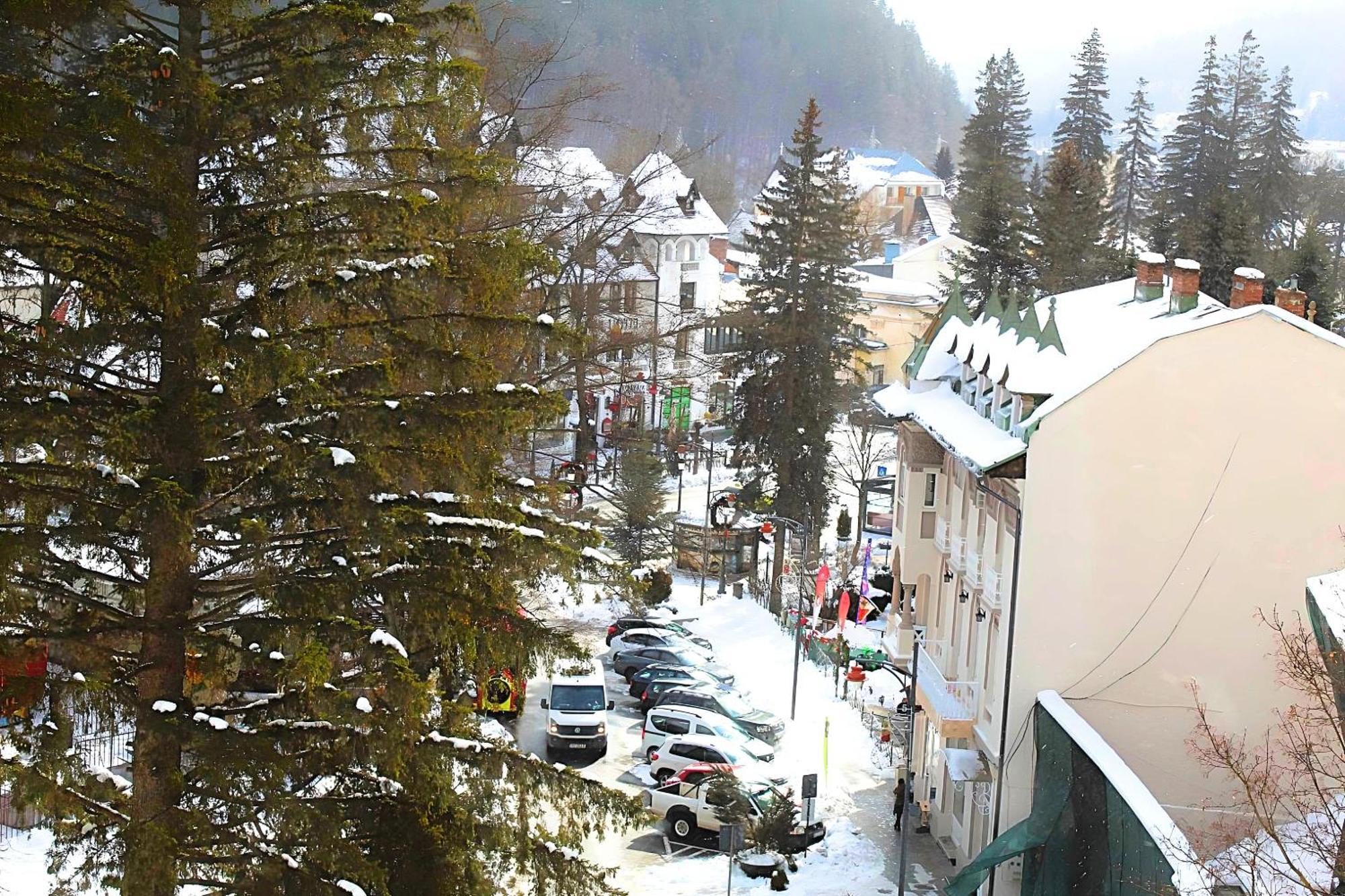 Central Park View Sinaia Kültér fotó
