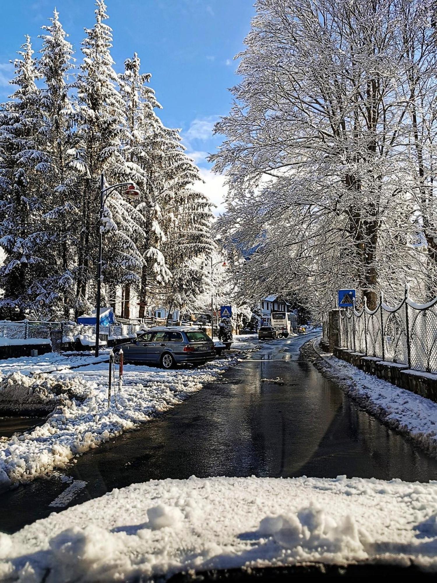 Central Park View Sinaia Kültér fotó