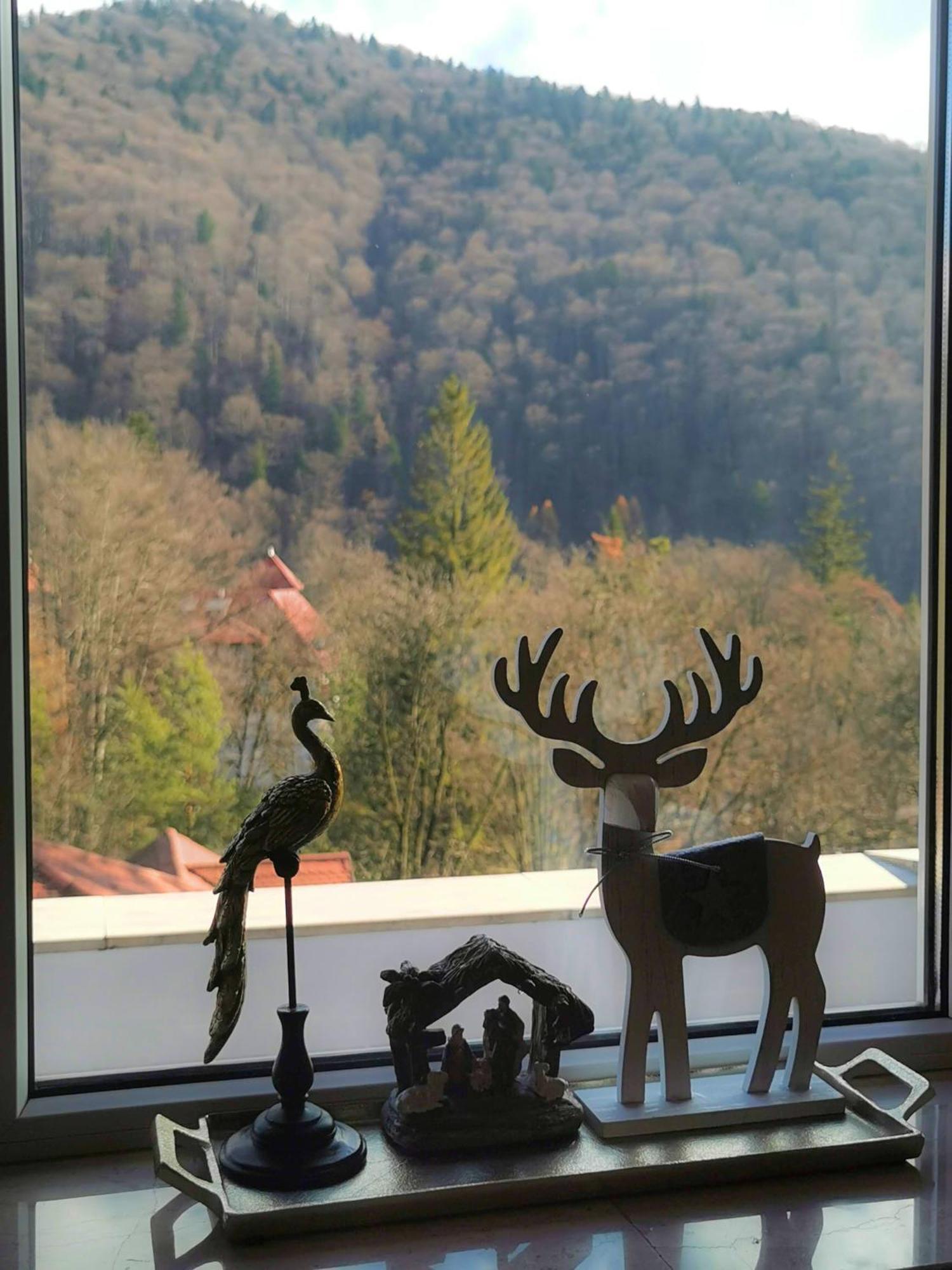 Central Park View Sinaia Kültér fotó